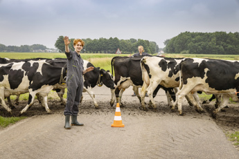 AgroVeehouderij-2juli-agro-2562.JPG