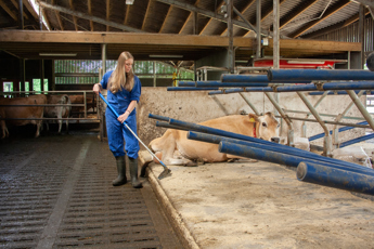 20260601-_MG_3574_veehouderij_Emmen_Jessica_Ruinemans.jpg