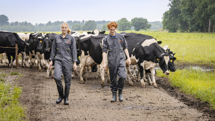 vakexpert-veehouderij.JPG