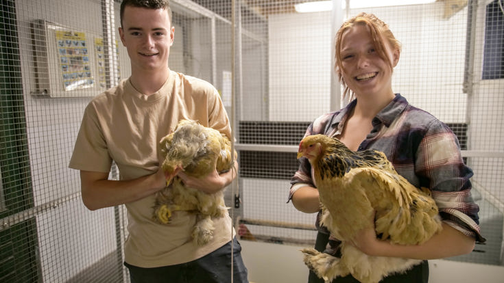 paraveterinair.jpg