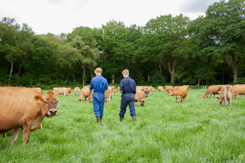 20260601-_MG_3512_veehouderij_Emmen_Jessica_Ruinemans.jpg