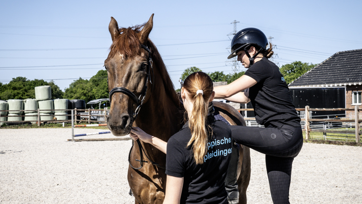 paardensport en houderij-algemeen.jpg