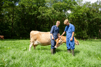 20260601-_MG_3541_veehouderij_Emmen_Jessica_Ruinemans.jpg
